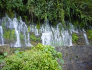 chorros1.JPG